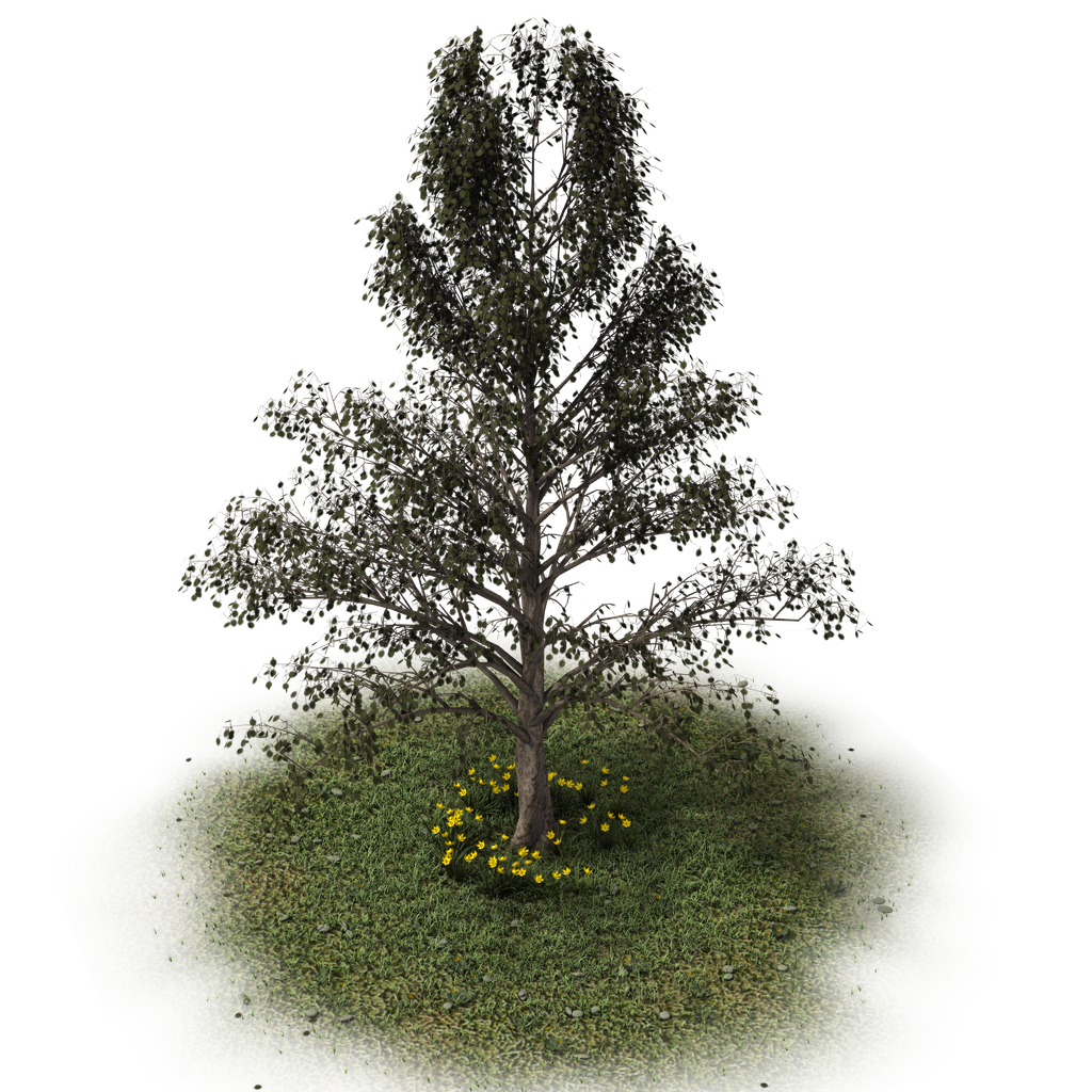 Created with Daz3D GrowIt Plugin